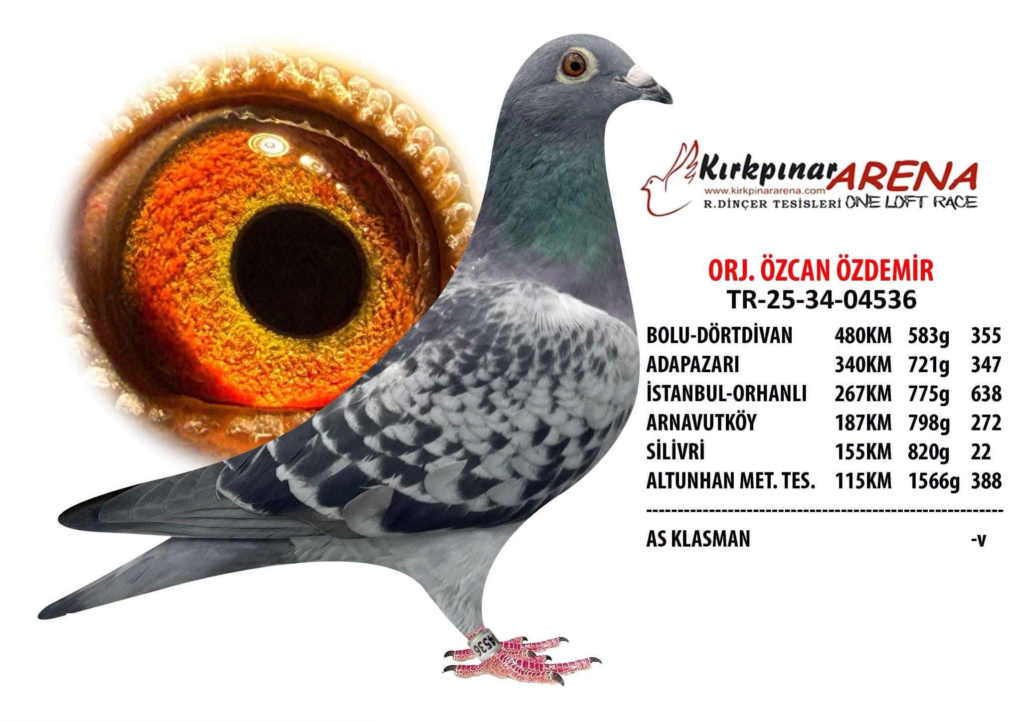 TR-25-34-04536 KIRKPINAR ARENA 480 KM 355