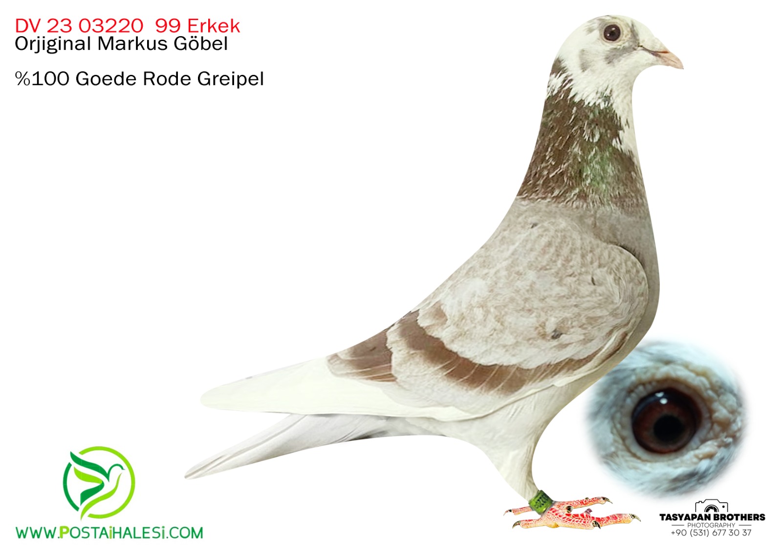 DV 23-03220-99 DİRK VAN DEN BLUCK İNBİREND KİTTELL