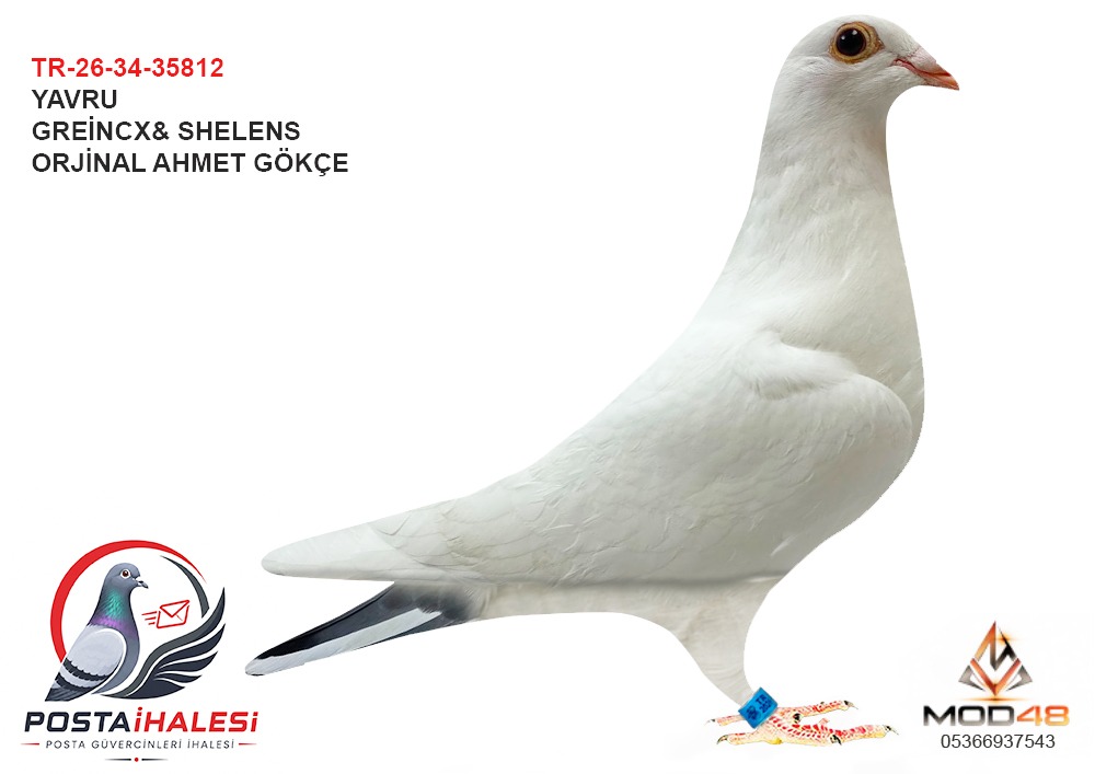 TR-26-34-35812 AHMET GÖKÇE