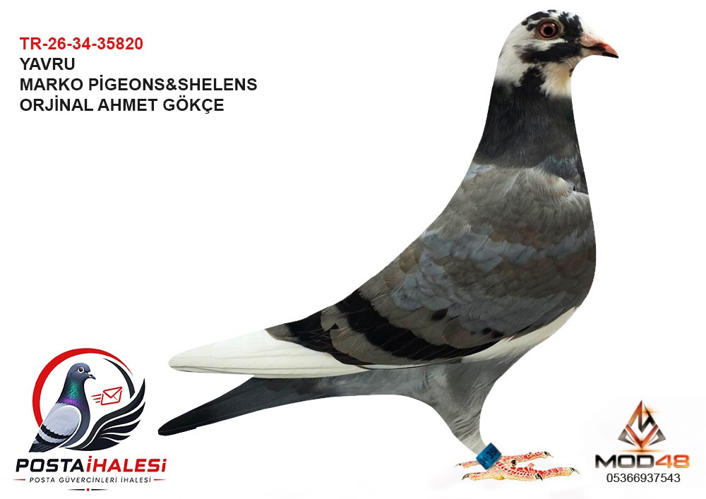 TR-26-34-35820 AHMET GÖKÇE