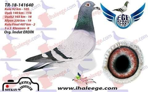 TR-18-141640 : 230KM 19- 407KM FİNAL2- ACE 8