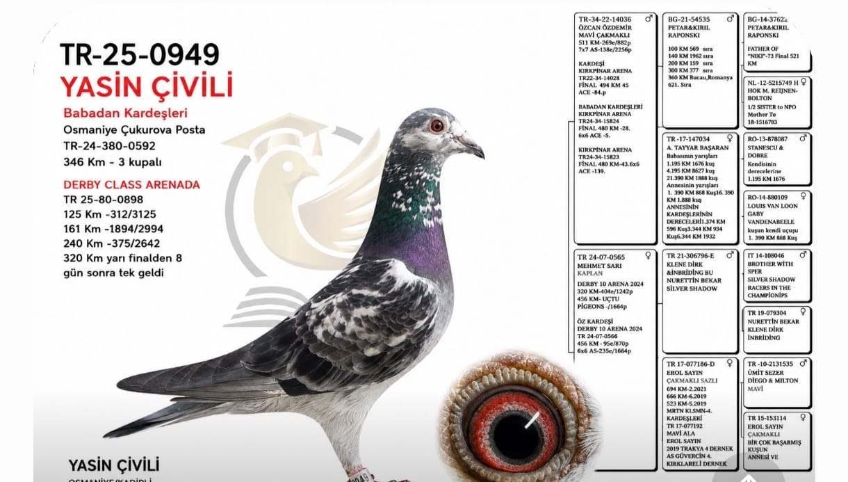 TR-25-0949 YASİN ÇİVİLİ