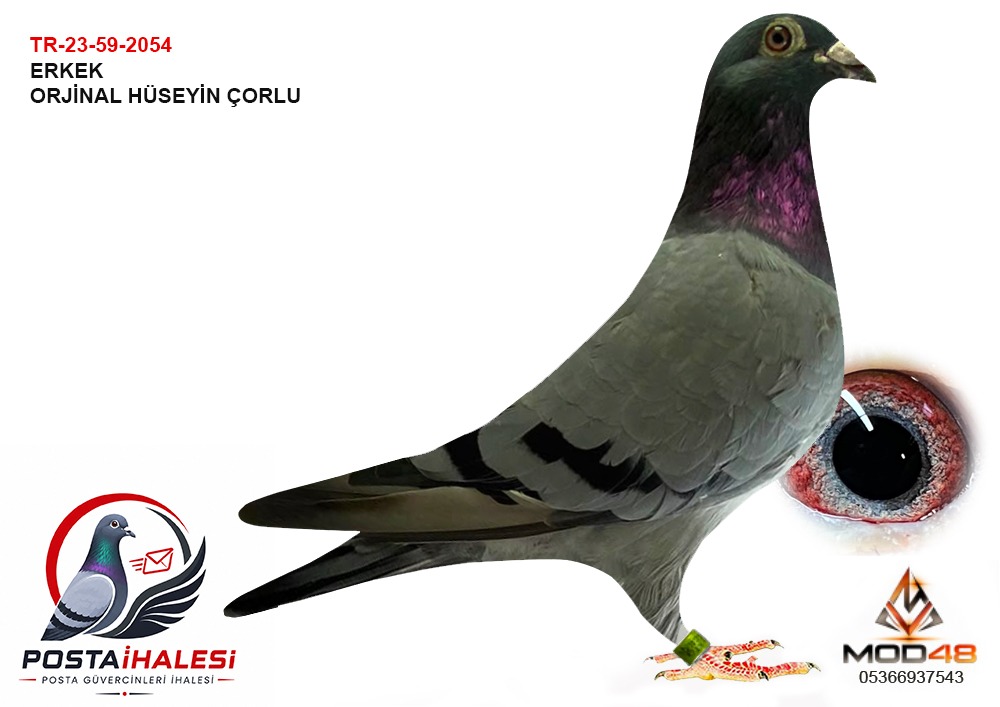 TR-23-59-2054 HÜSEYİN ÇORLU ROMARİO