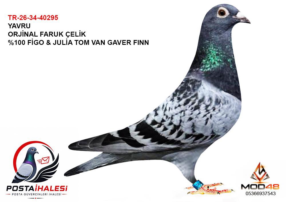 TR-26-34-40295 ORJİNAL FARUK ÇELİK %100 FİGO&JULİA FINN