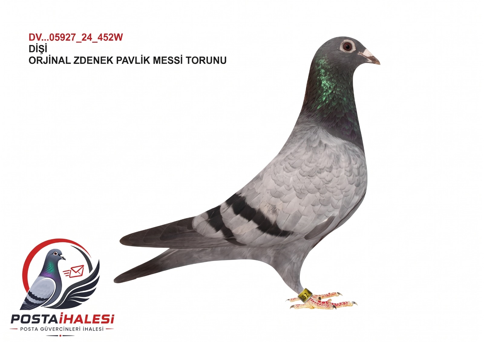 DV-05927-24-452 ZDENEK PAVLİK MESSİ TORUNU