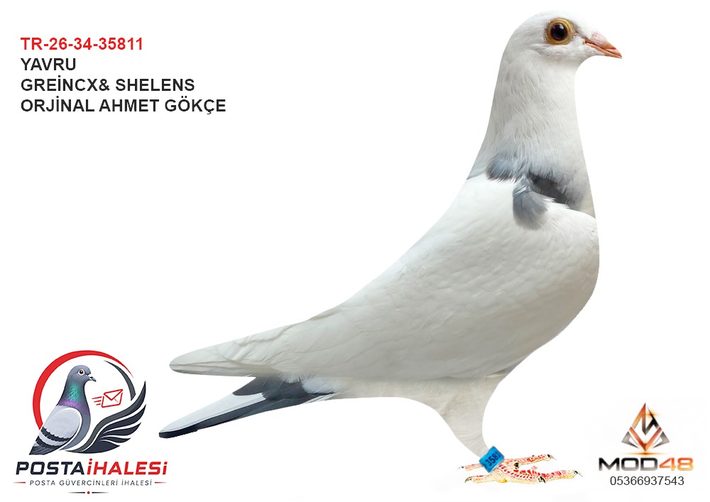 TR-26-34-35811 AHMET GÖKÇE