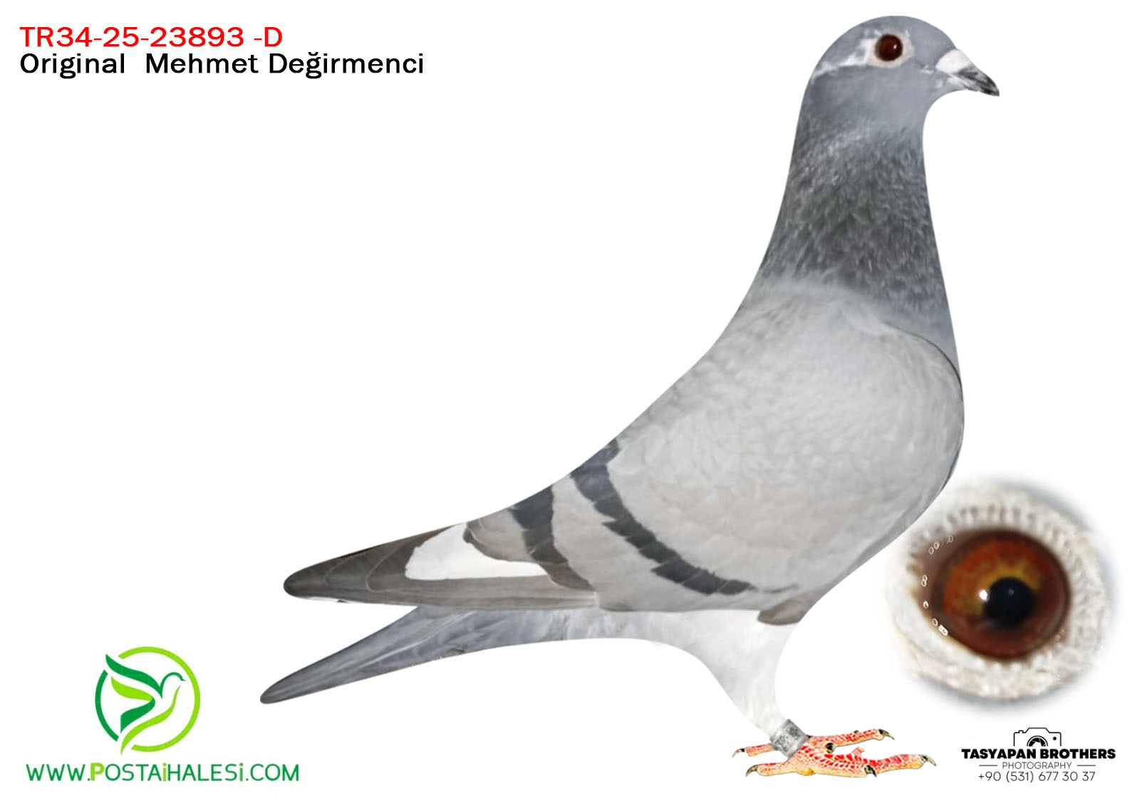 TR-34-25-23893 JULİA& HARDY KRUGER