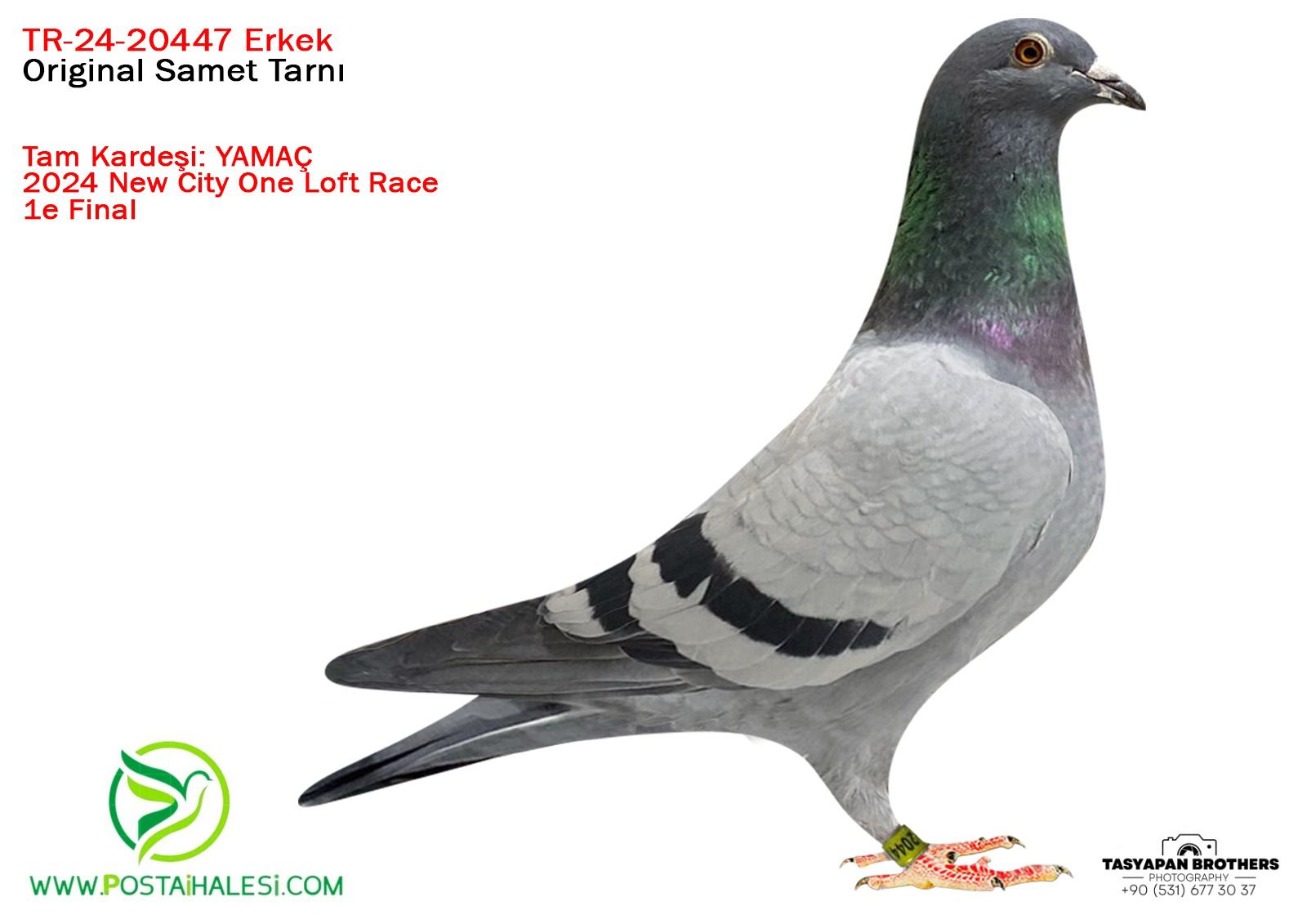 TR-24-20447 SG STEFF&DUBLE MESSİ YAMAÇ TAM KARDEŞİ