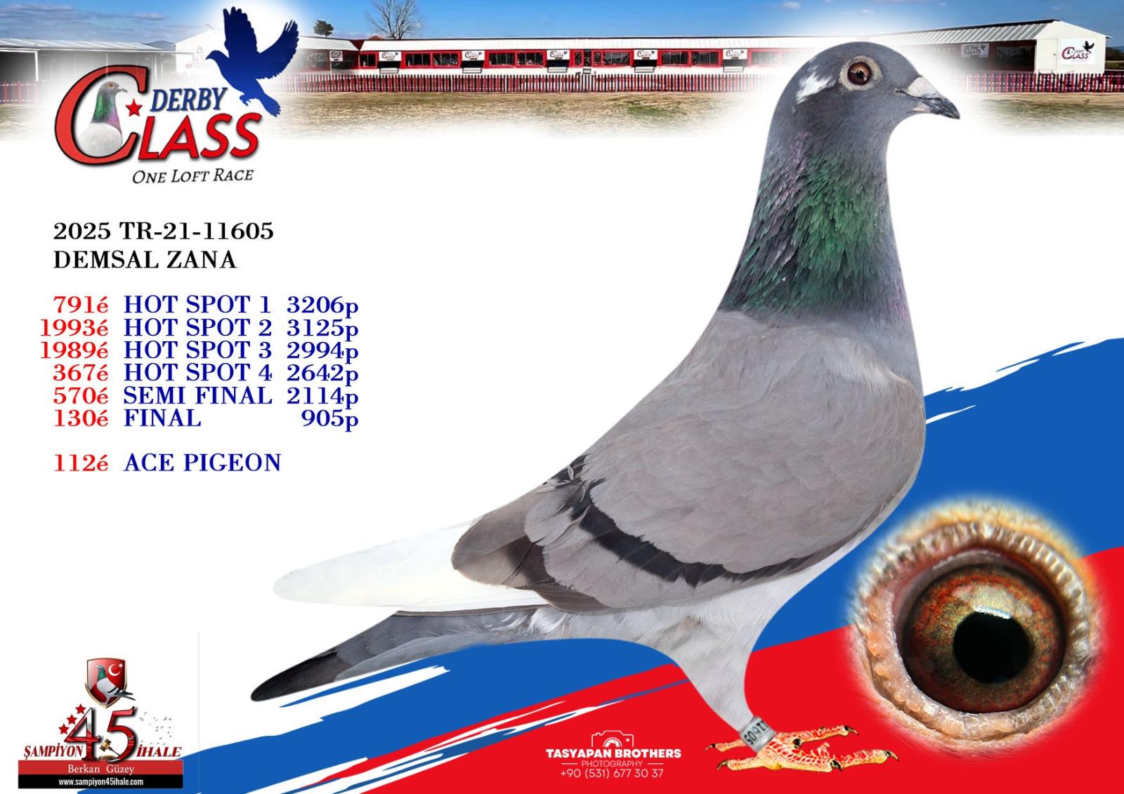 TR-2025-21-11605 DERBY CLASS FİNAL 130 ACE 112 DEMSAL ZANA