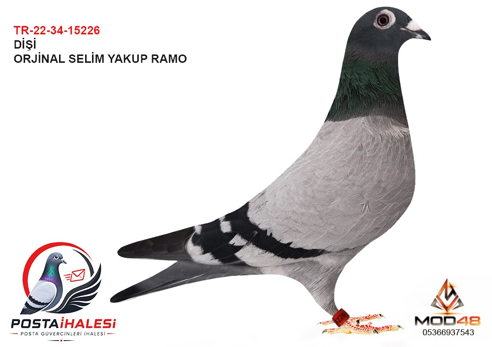 TR-22-34-15226 SELİM ERSİN RAMO