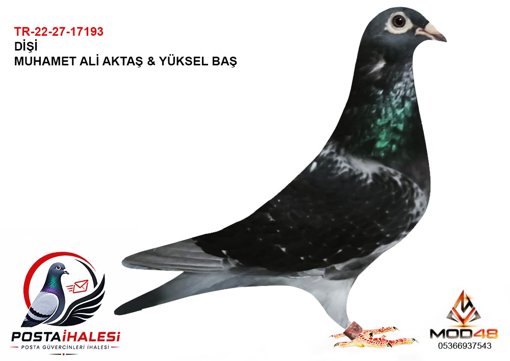 TR-22-27-17193 MUHAMMET ALİ AKTAŞ