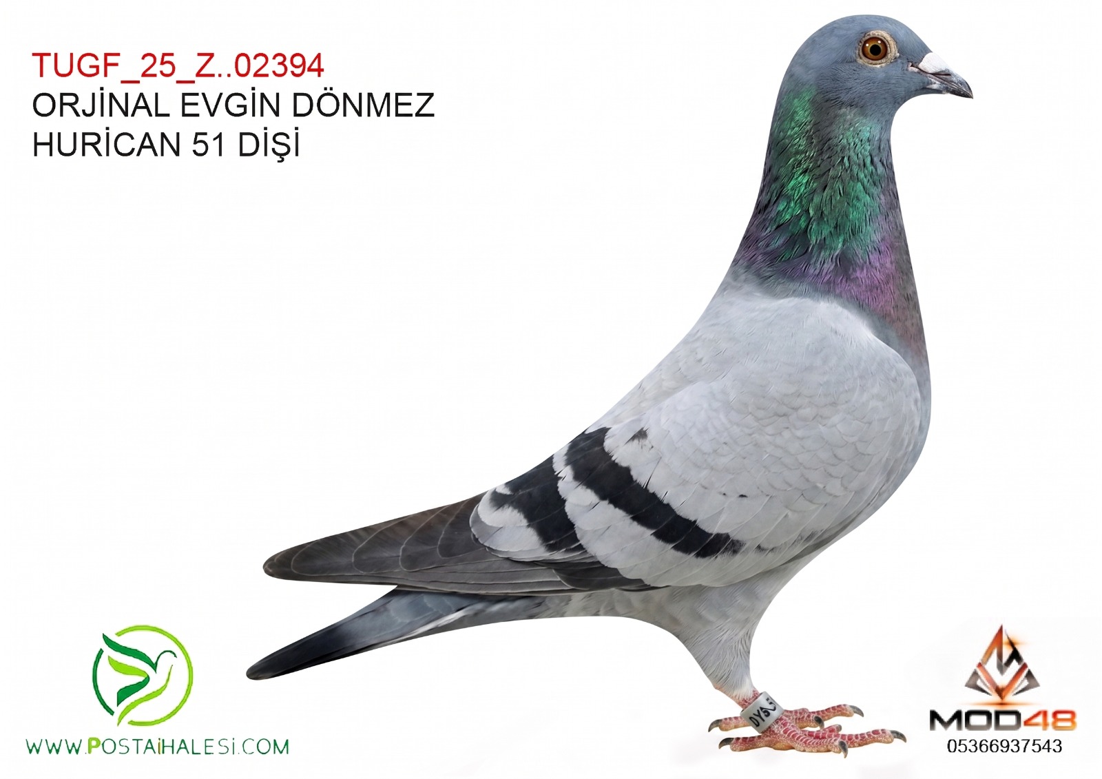 TUGF-25-Z-02394 HURİCAN 51