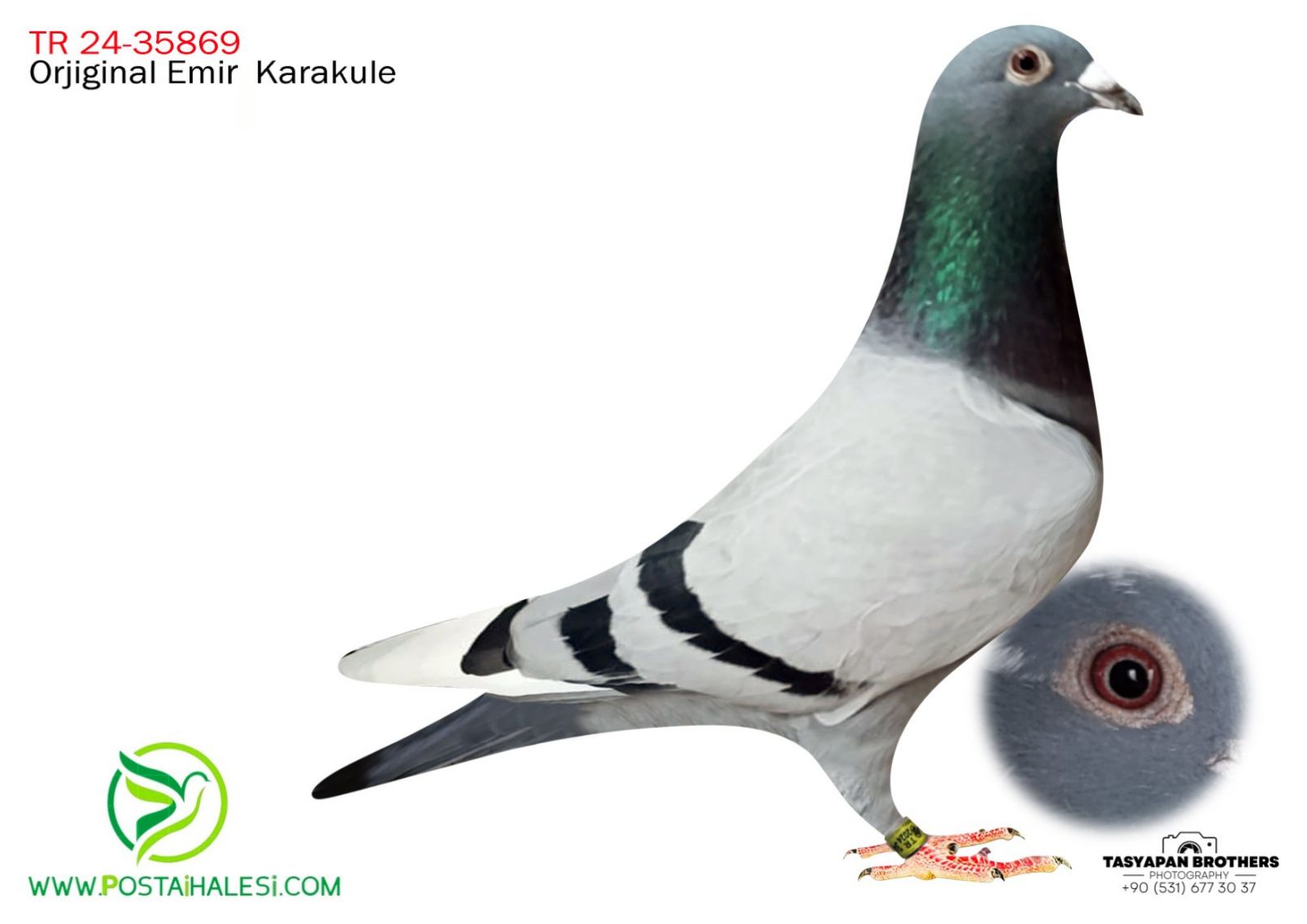 TR-34-24-35869 GASTON&KİTTEL& GEREİX