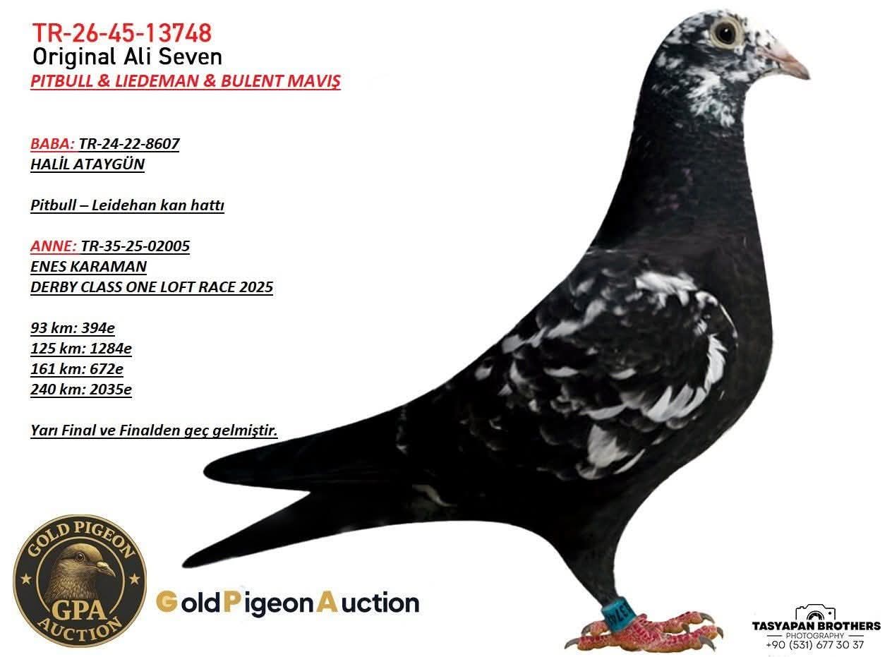 TR-26-45-13748 ALİ SEVEN