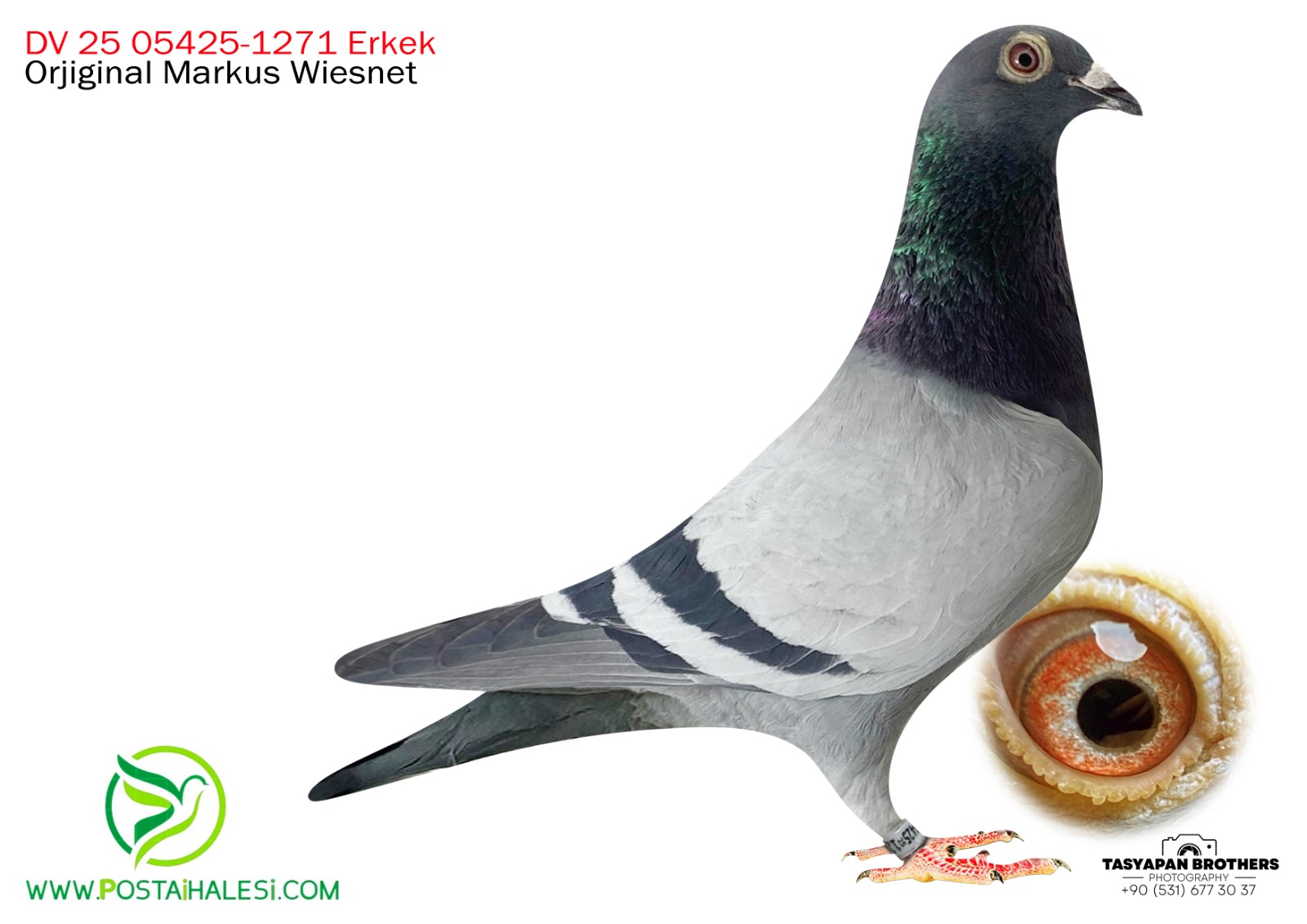 DV 25-05425-1271 İNBİREND-ROMARİO