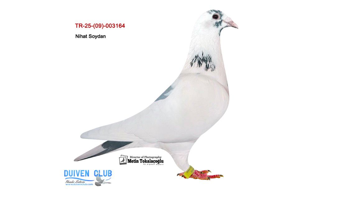 TR-25-09-003164 GABY RUDY &JANSEN & JOSTOHONE