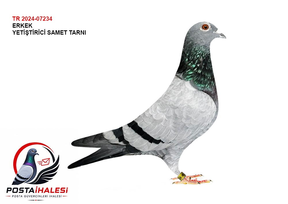 TR-24-07234 SAMET TARNI