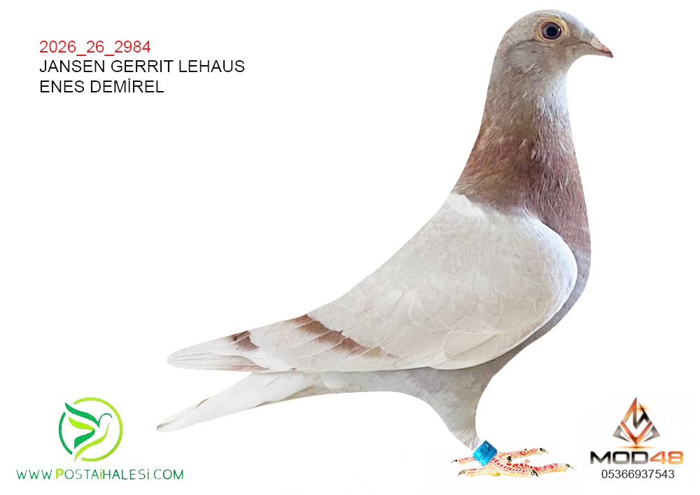 2026-26-2984 JANSEN GERİT LEHAUS