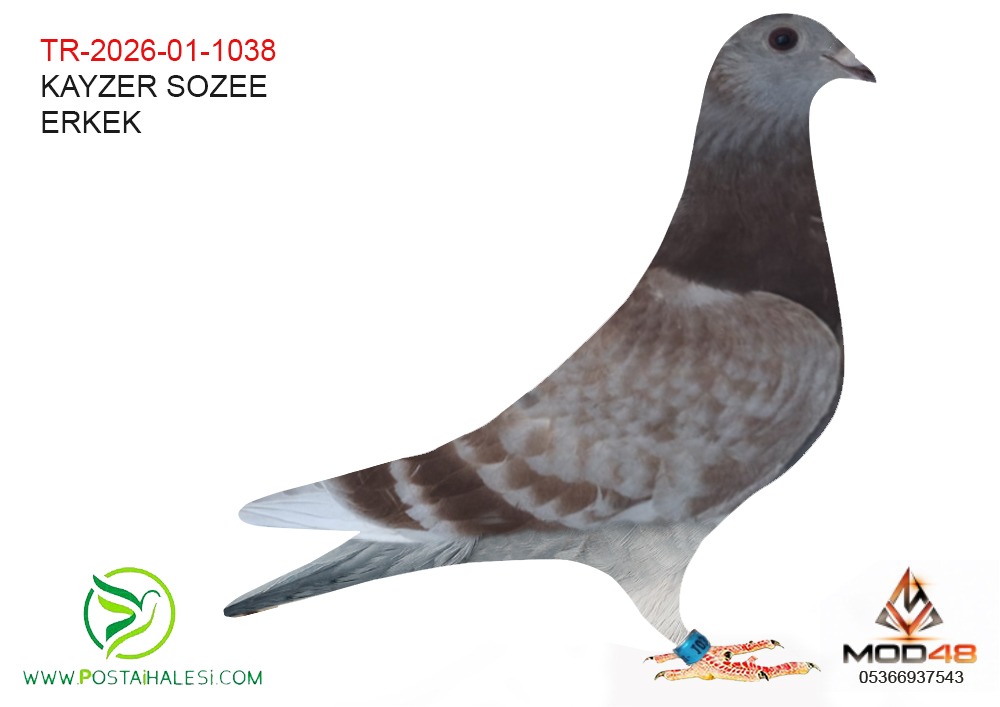 TR-2026-01-1038