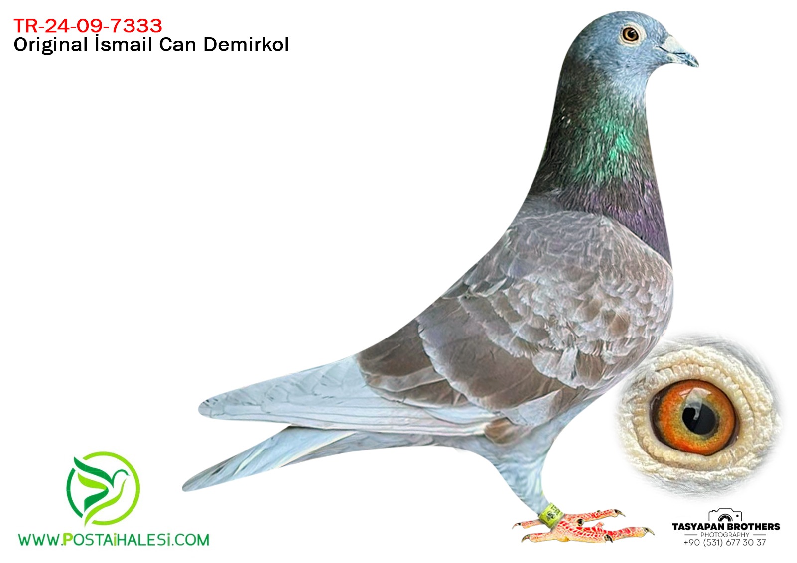 TR-24-09-7333  JAN.V.D.PASCH BABADAN KARDEŞİ 235 KM 1 3X3 MARATON 1