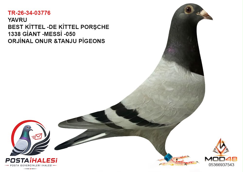 TR-26-34-03776 BEST KİTTEL DE KİTTEL PORSHCE 911 GİAT MESSİ 050