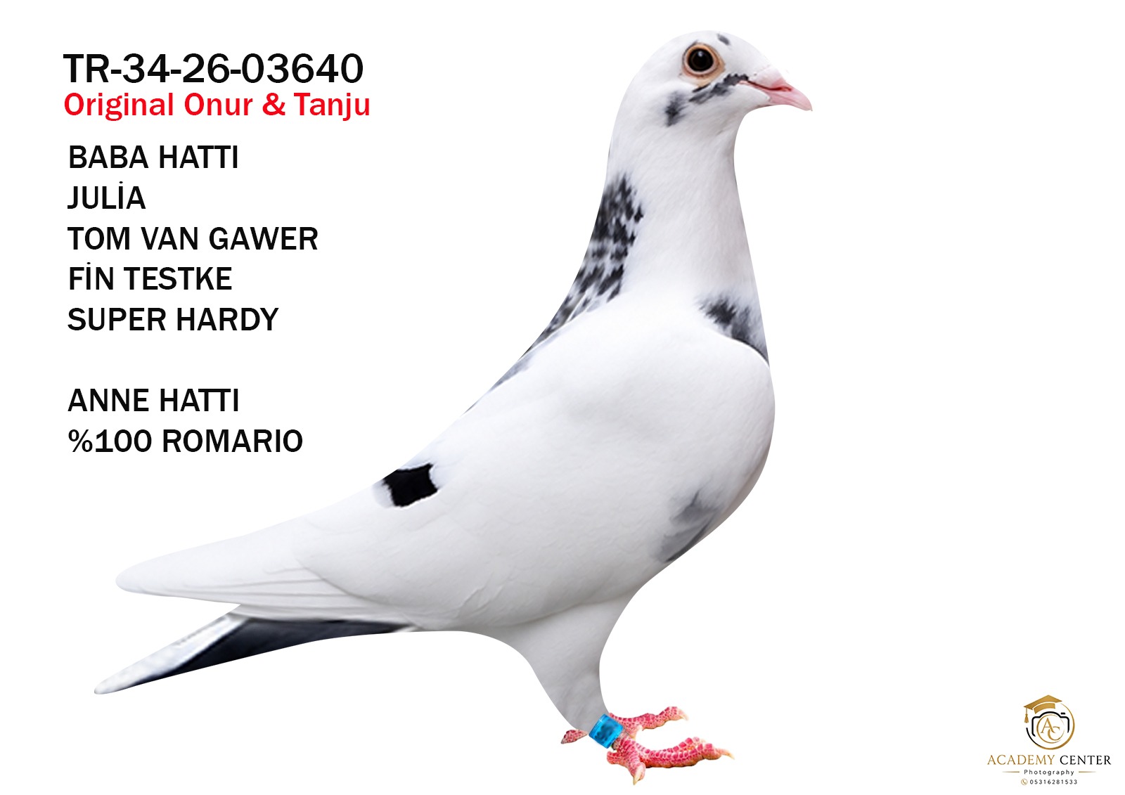 TR-34-26-03640 JULİA FİN ROMARİO