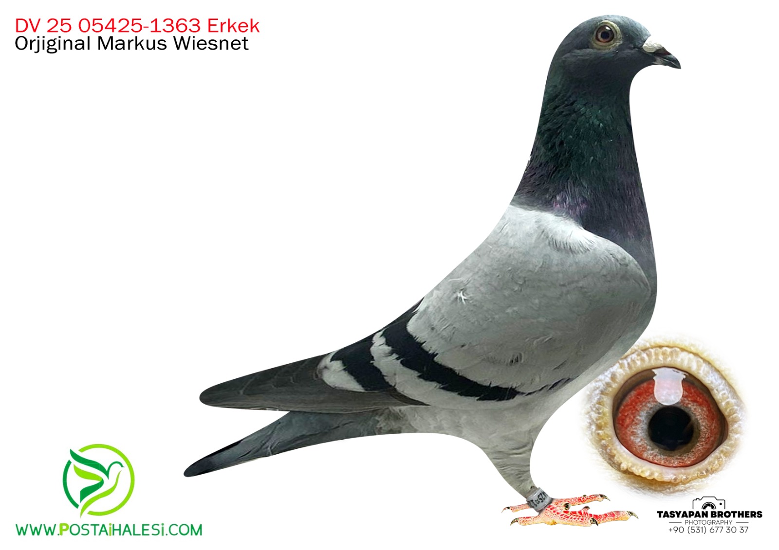 DV-25-05425-1363 ROMARİO&TOMAS 6 JULİA