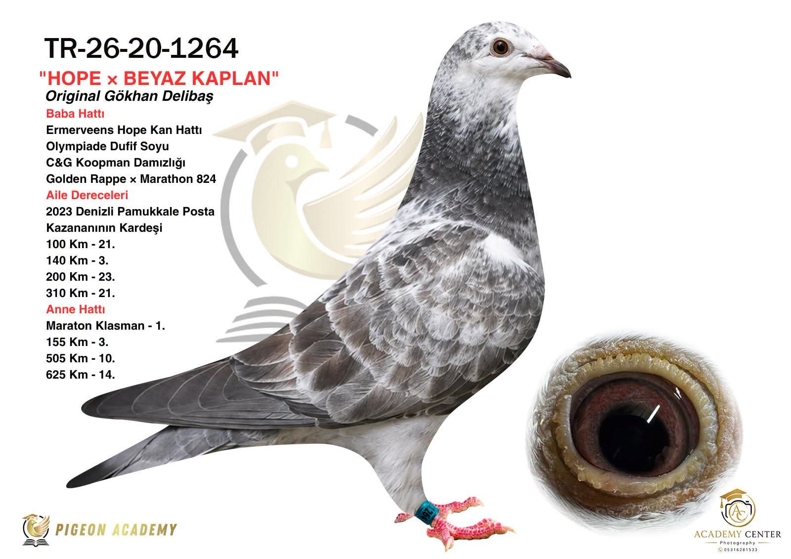 TR-26-20-1264 GÖKHAN DELİBAŞ