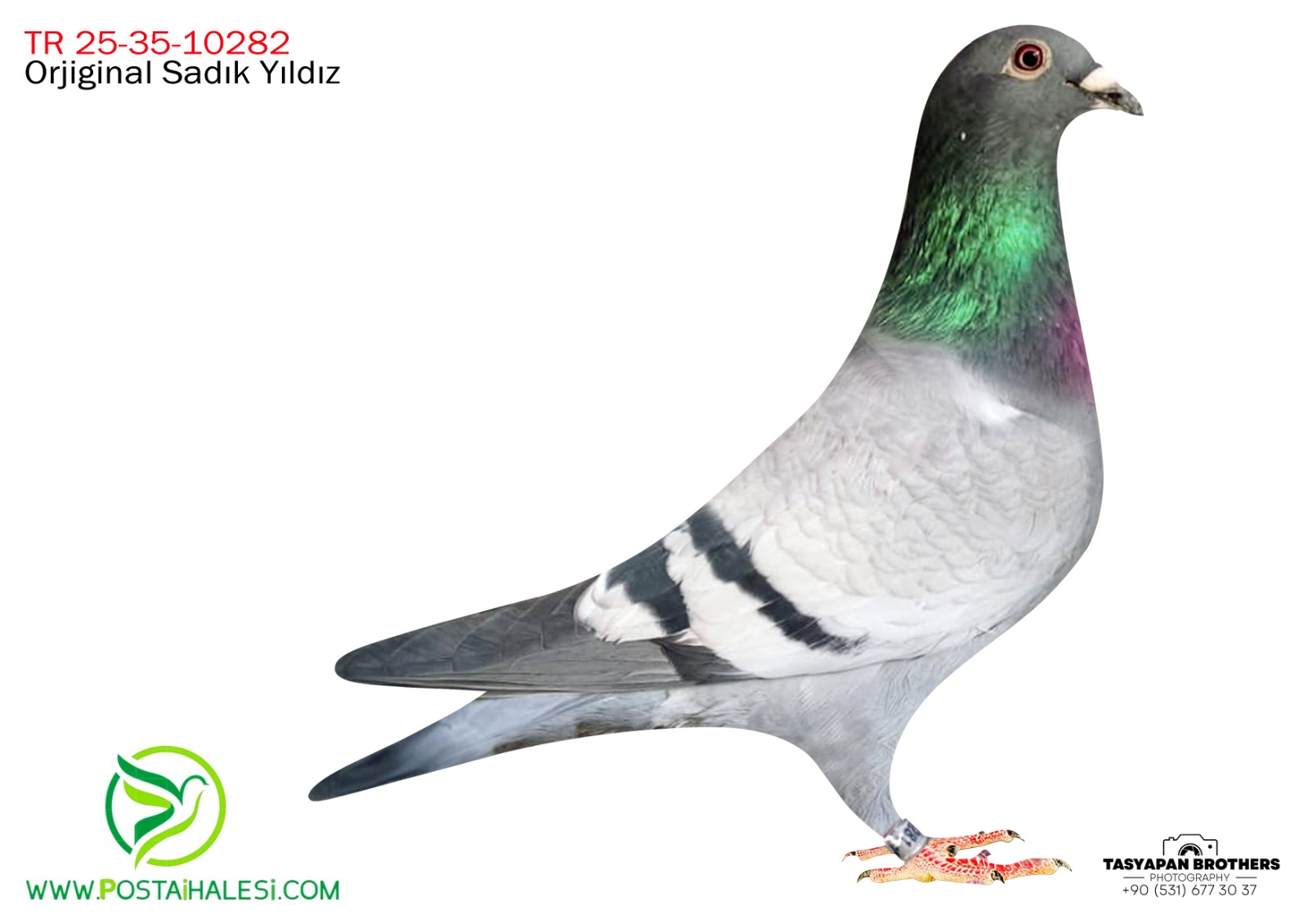 TR-25-35-10282 KİTTEL&VAN LON