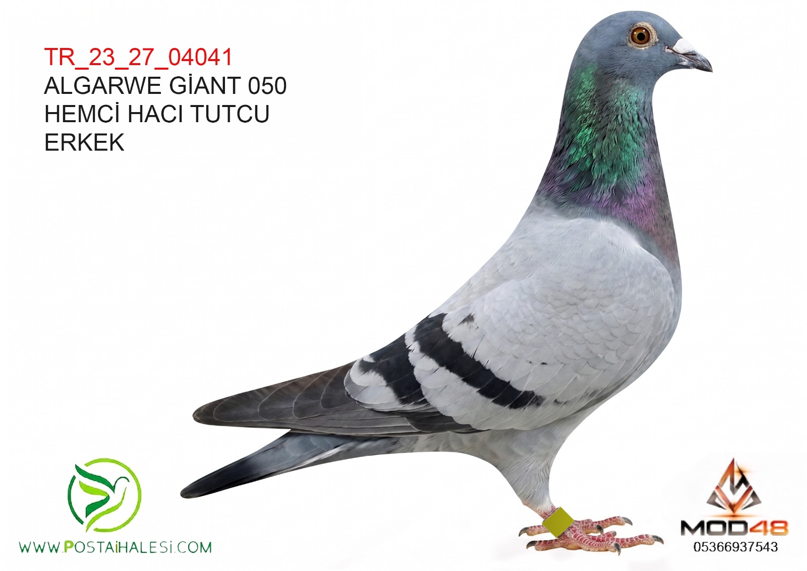 TR-23-27-Z-04041 GİANT 050  TAŞKAN TENEKE OGUN KÖSE