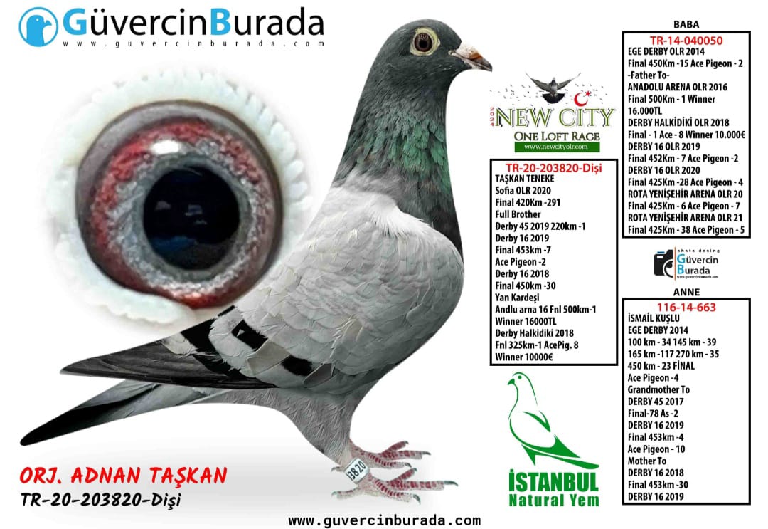 TR 20-203820 050 DİREK KIZI KENDİ 420 KM SOFİA FİNAL 291 