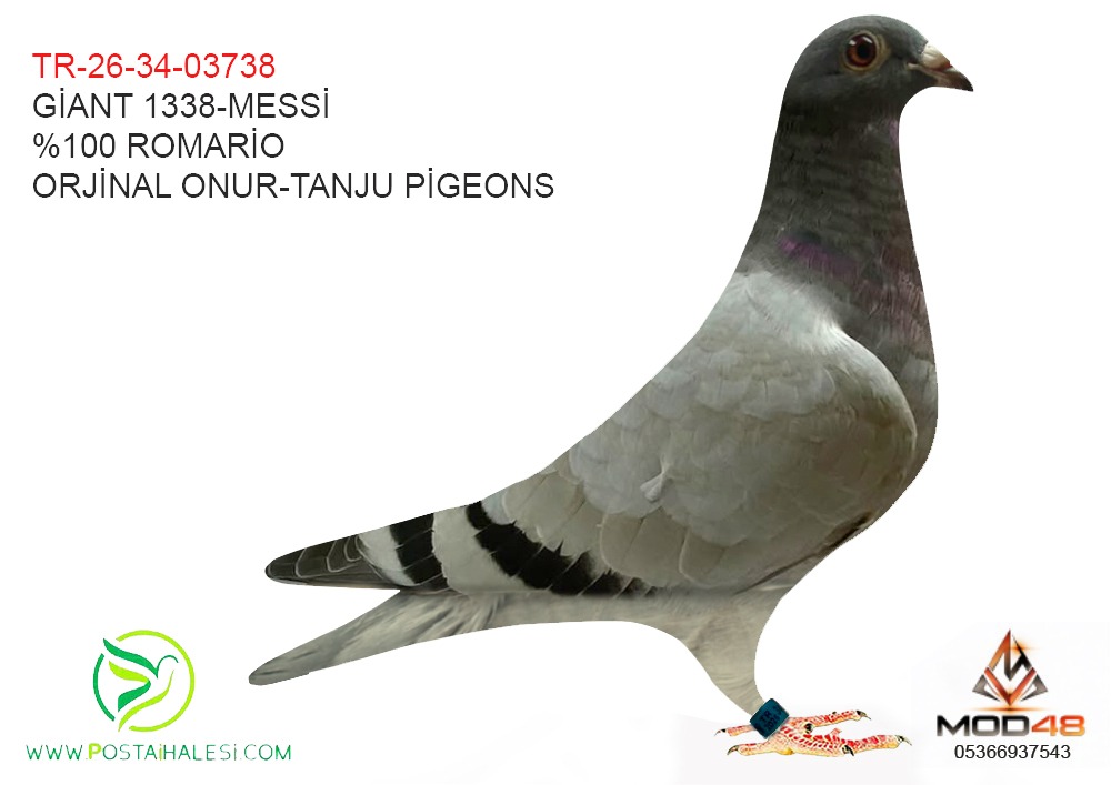 TR-26-34-03738 1338 GİANT-MESSİ-%100 ROMARİO