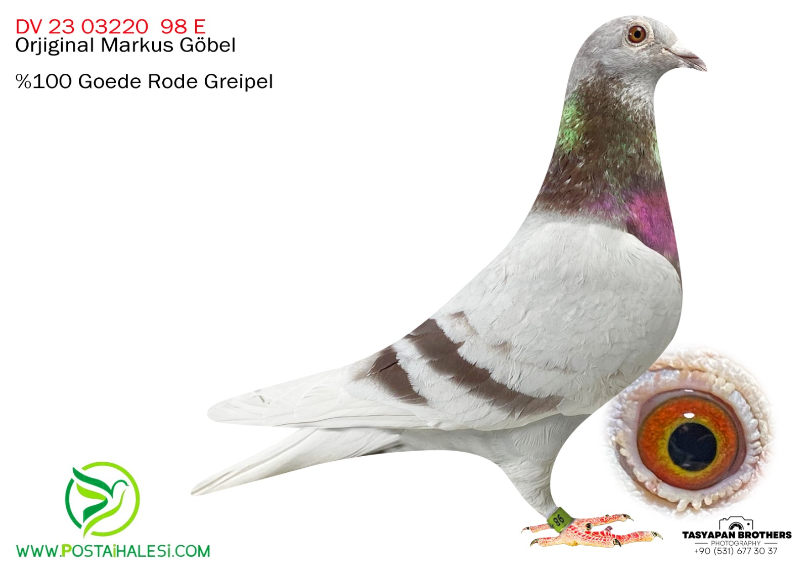 DV 23-03220-98 VAN DEN BULCK İNBREND KİTTEL