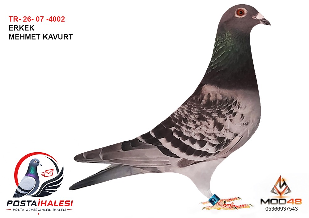 TR-26-07-4002 MEHMET KAVUT