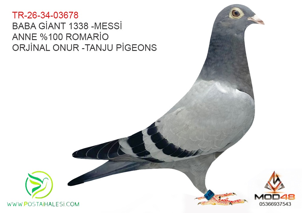 TR-26-34-03678  GİANT 1338-MESSİ- %100 ROMARİO