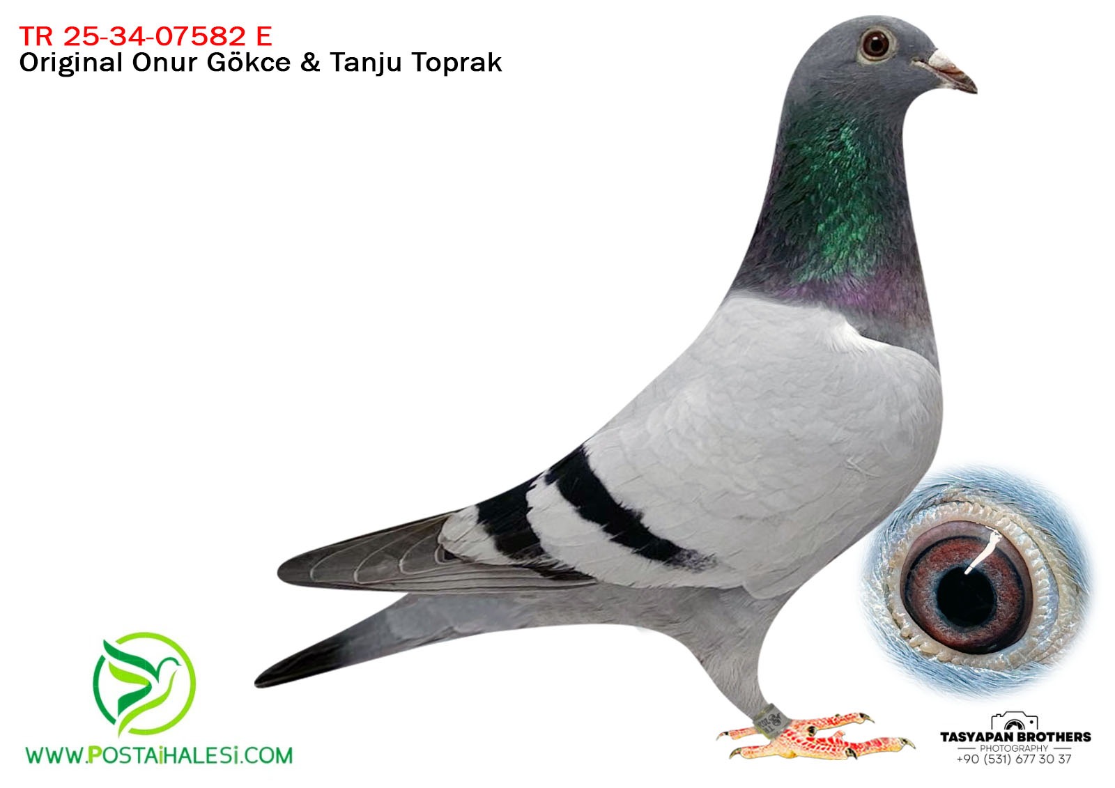 TR-2025-34-07582 BABASI BEST KİTTEL &DE KİTTEL  TORUNU  PORŞHE 911