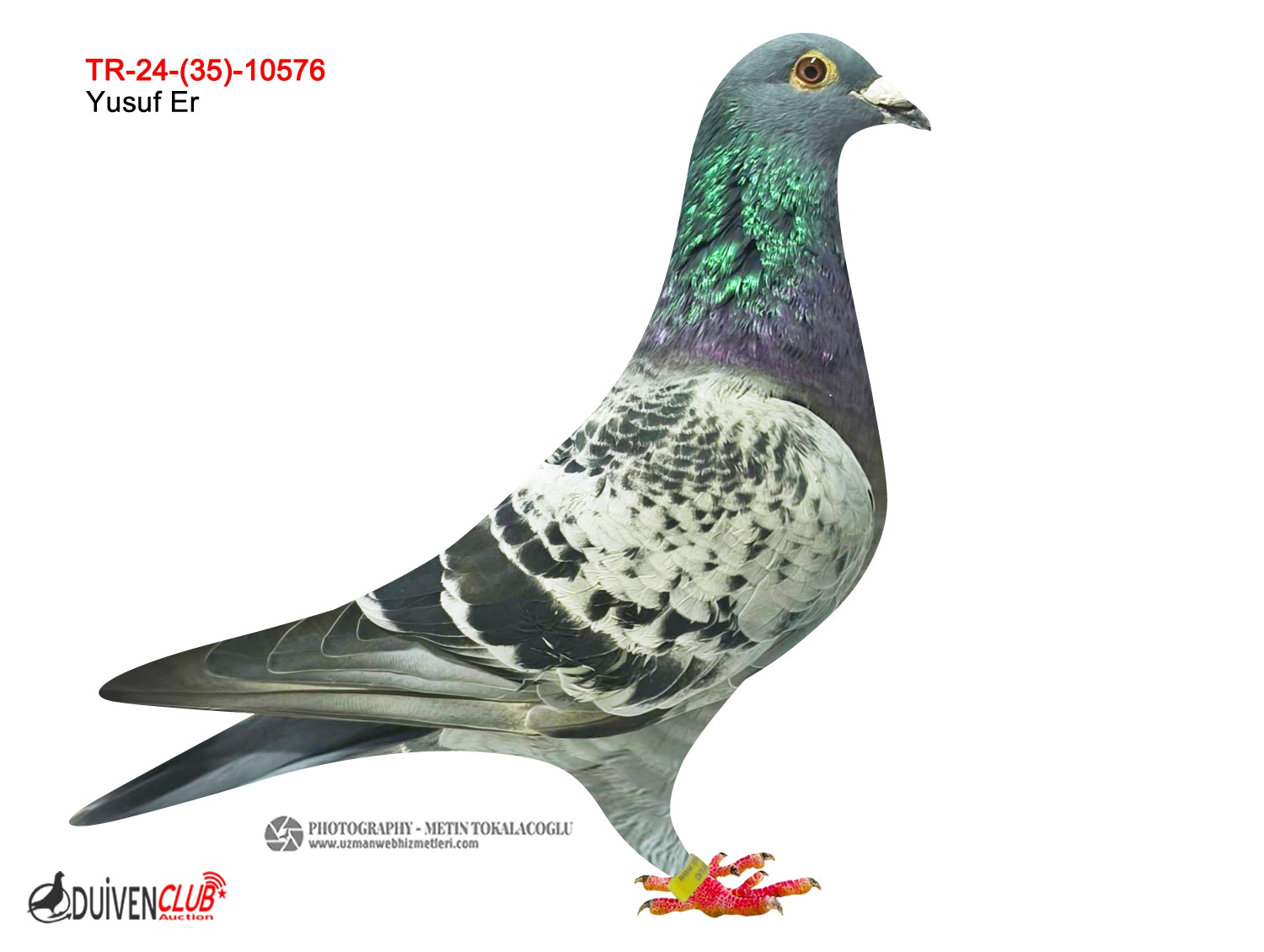 TR 35-24-10576 GOLDEN -MESSİ-JİLA BLACK NİGT