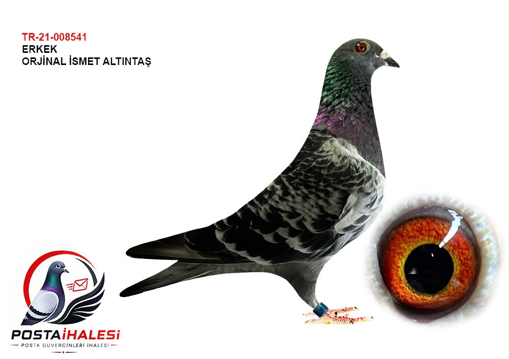 TR-21-008541 İSMET ALTINDAŞ GABY HUUB HERMANS