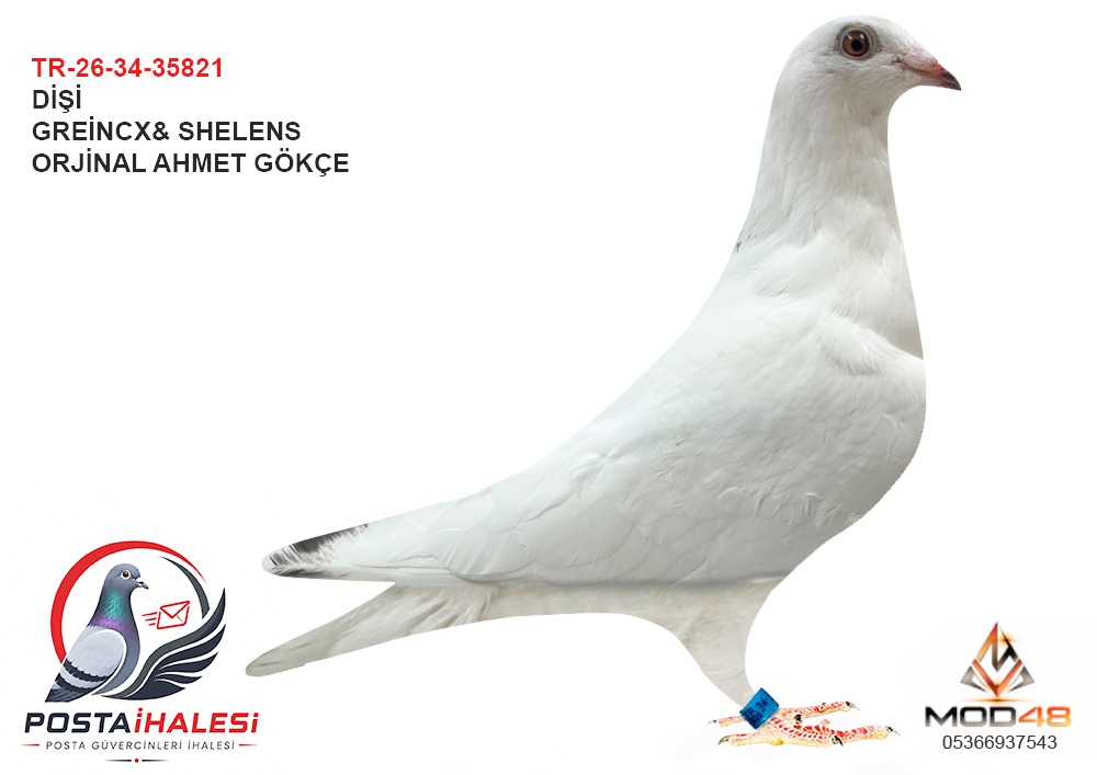 TR-26-34-35821 AHMET GÖKÇE