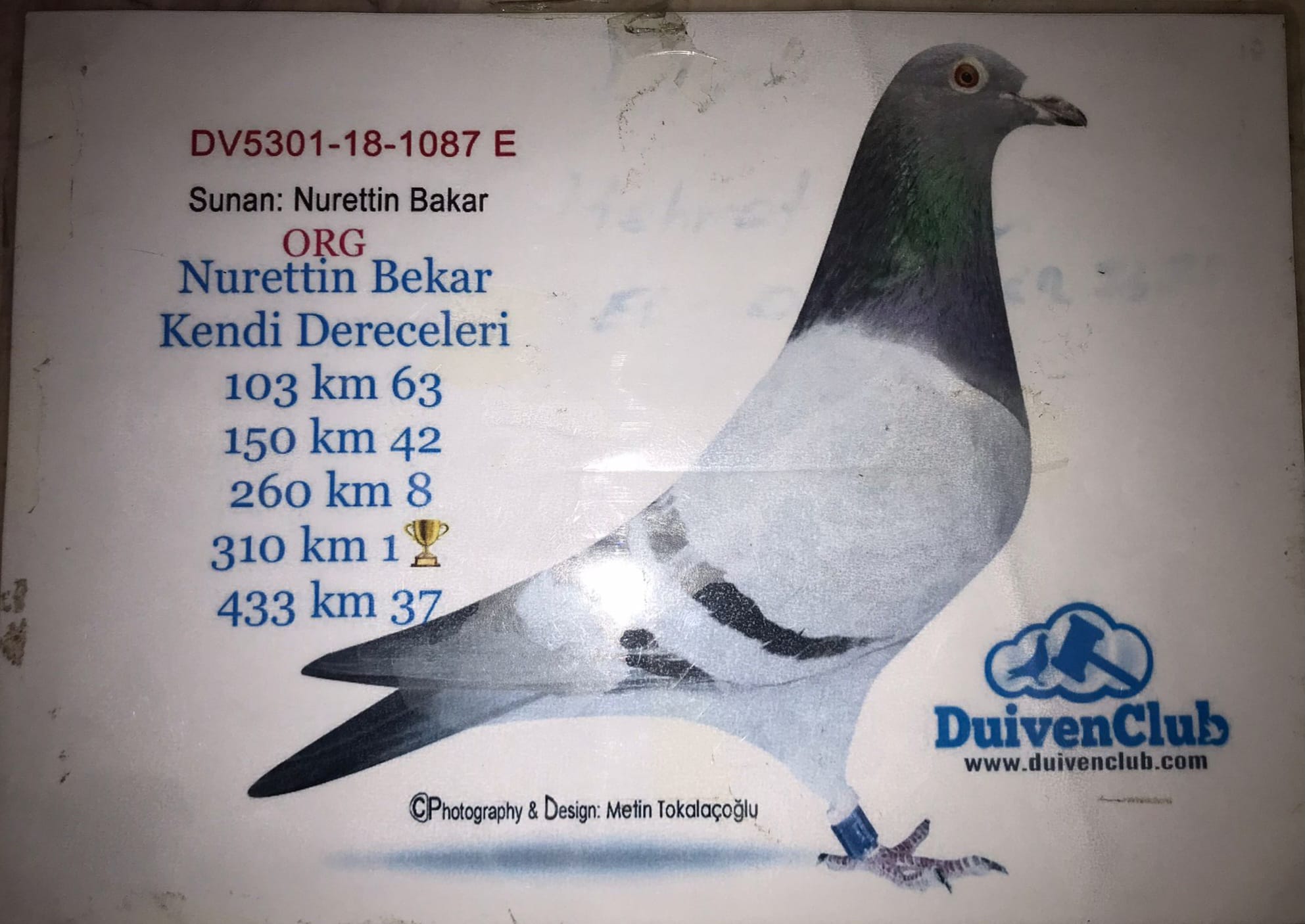 DV-5301-18-1087 RUDİ SAGAN 5X5 VİTES KLASMAN ŞAPİYONU 