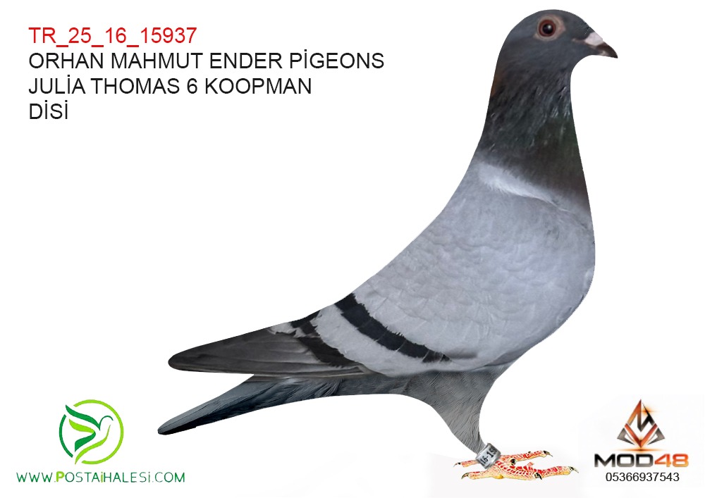 TR 25-16-15937 JULİA &KOPMAN