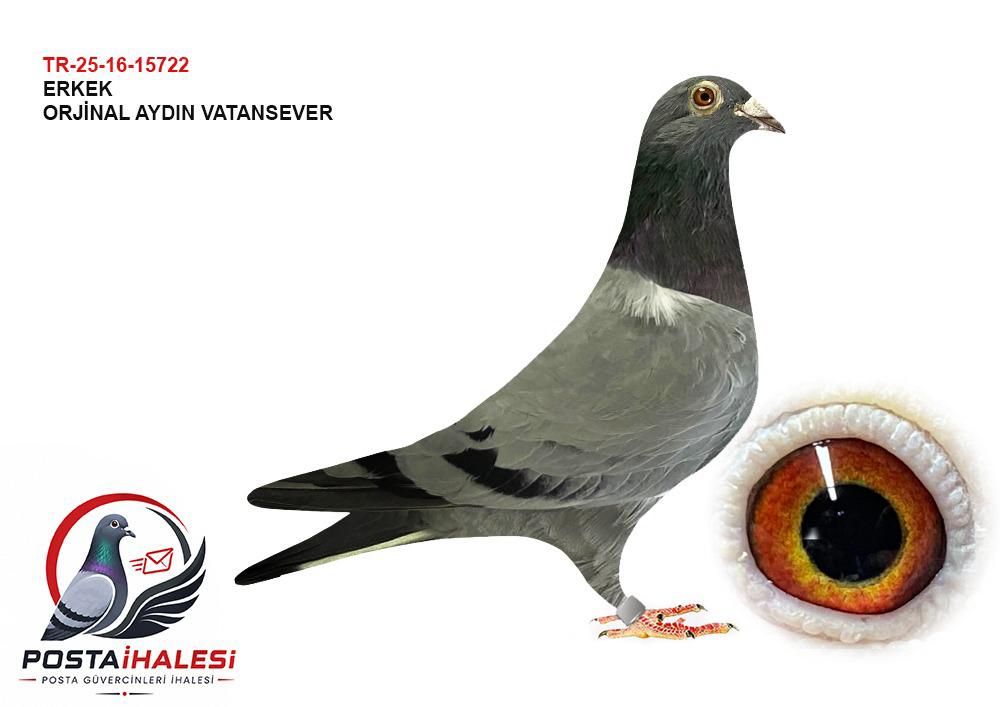 TR-25-16-15722 AYDIN VATANSEVER