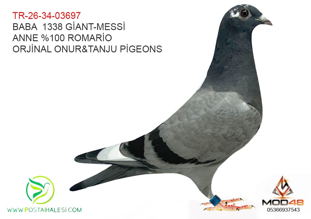 TR-26-34-03697 GİANT 1338 -MESSİ-%100 ROMARİO
