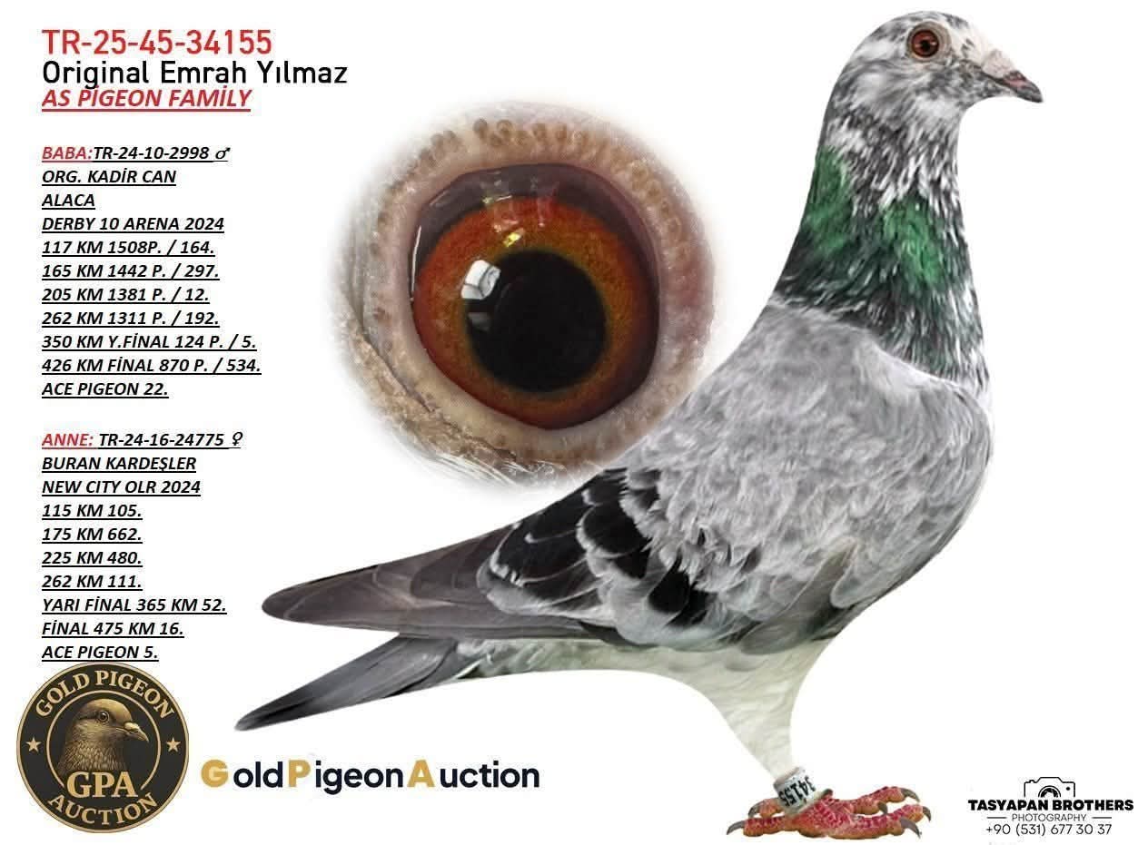 TR-25-45-34155 EMRAH YILMAZ