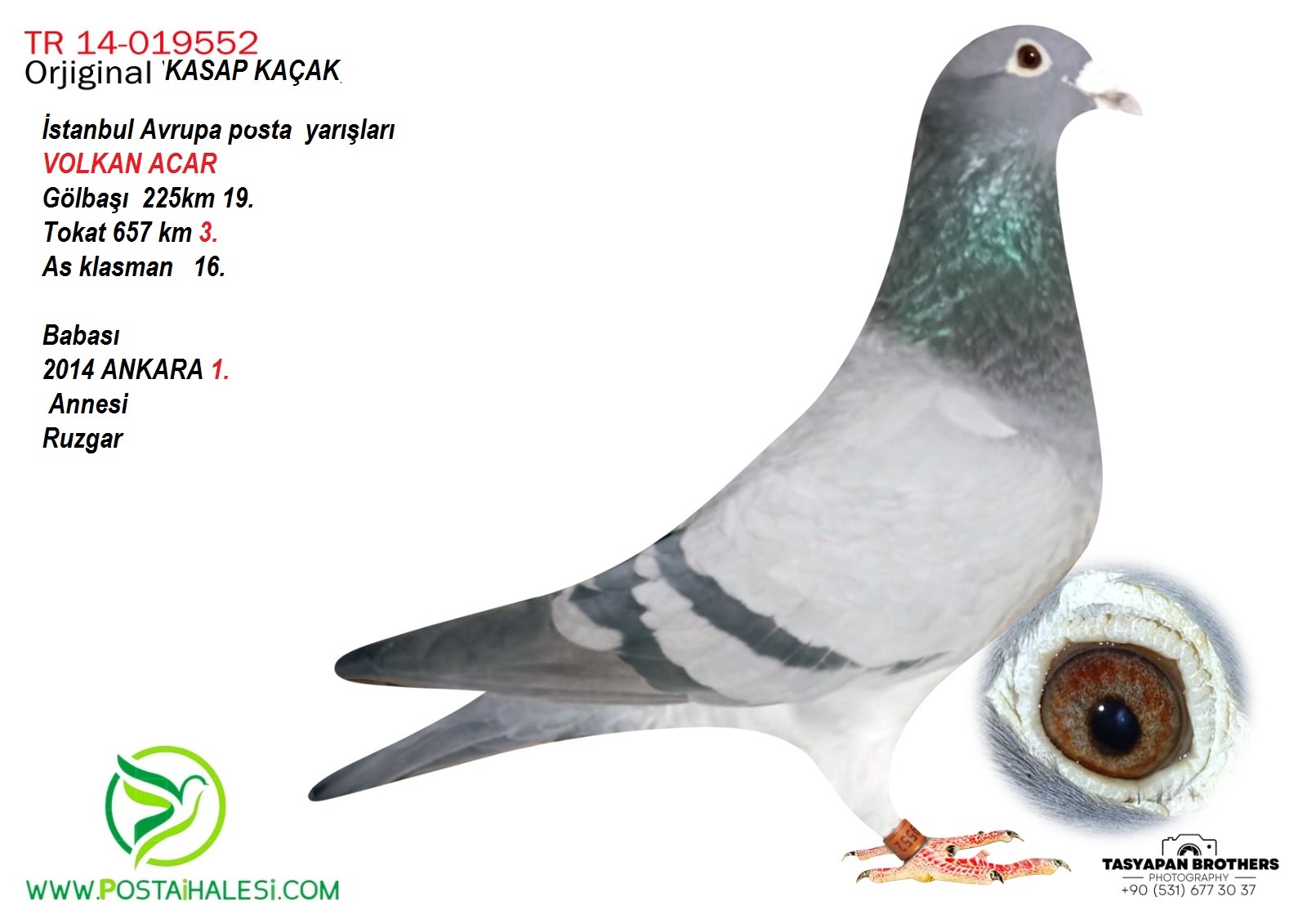 TR-14-019552 HOREMANS  TOKAT 657 KM 3 BABASI ANKARA 1