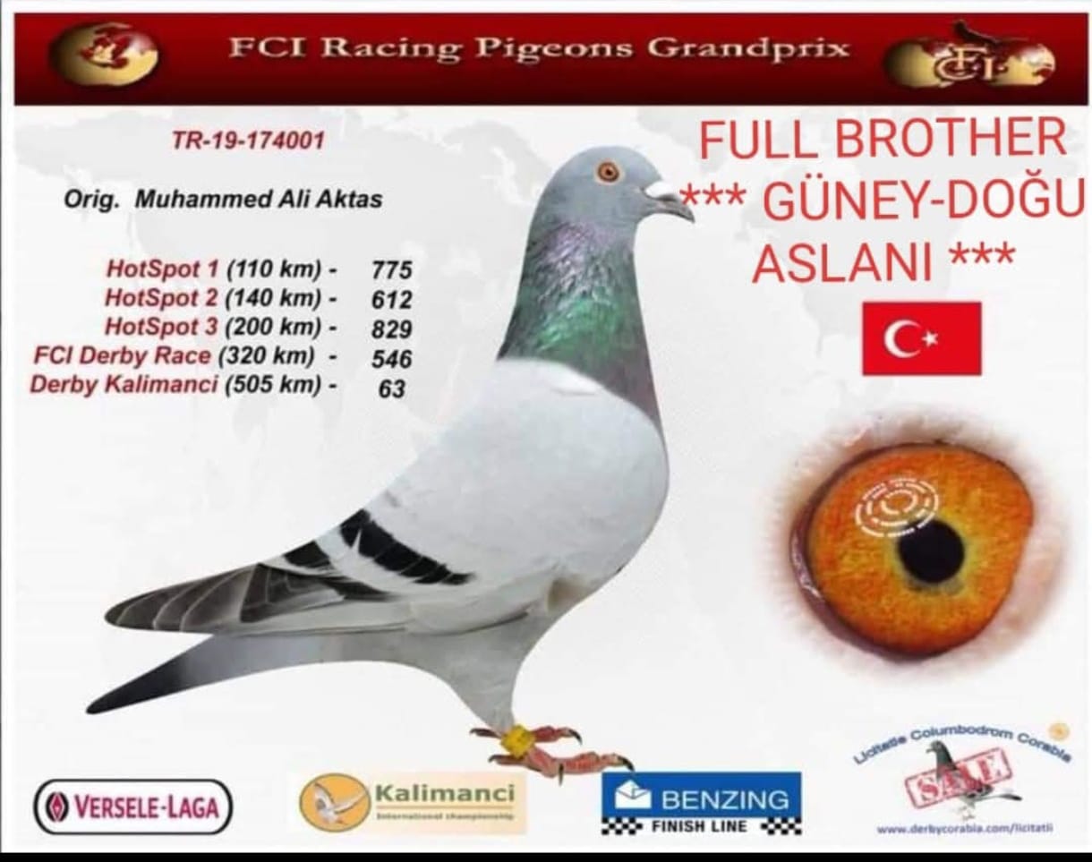 TR 19-174001 MUHAMMET ALİ AKTAŞ 505 KM FİANL 63