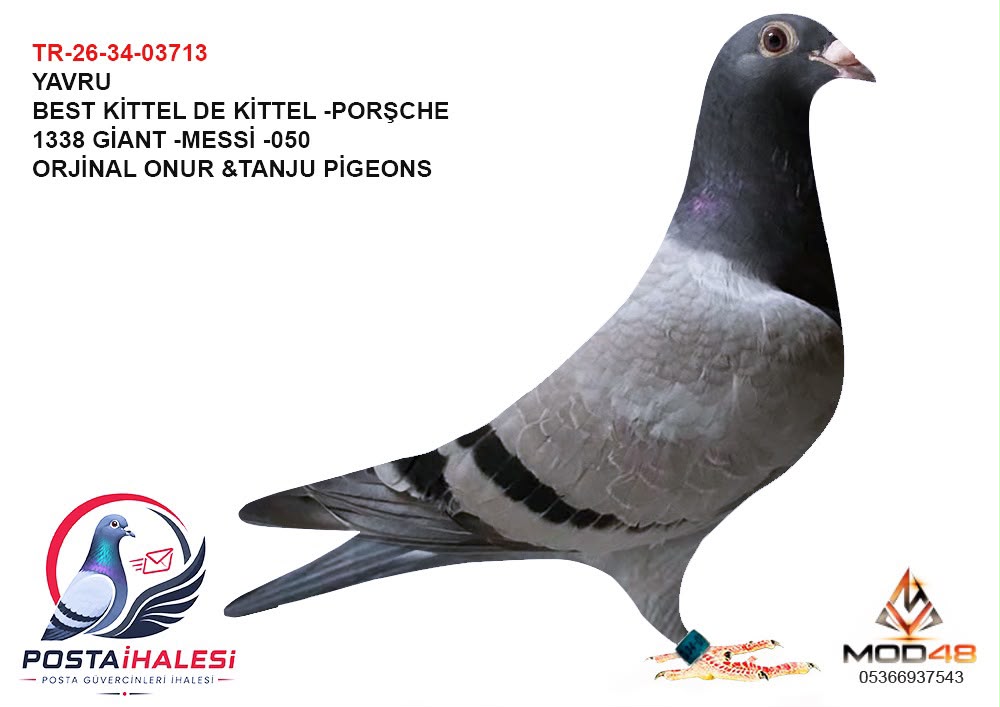 TR-26-34-03713 BEST KİTTEL DE KİTTEL GİAT MESSİ 050