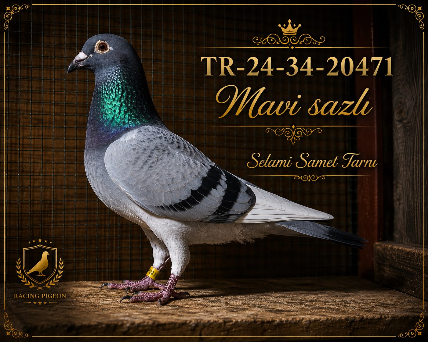 TR-24-34-20471 SAMET TARNI