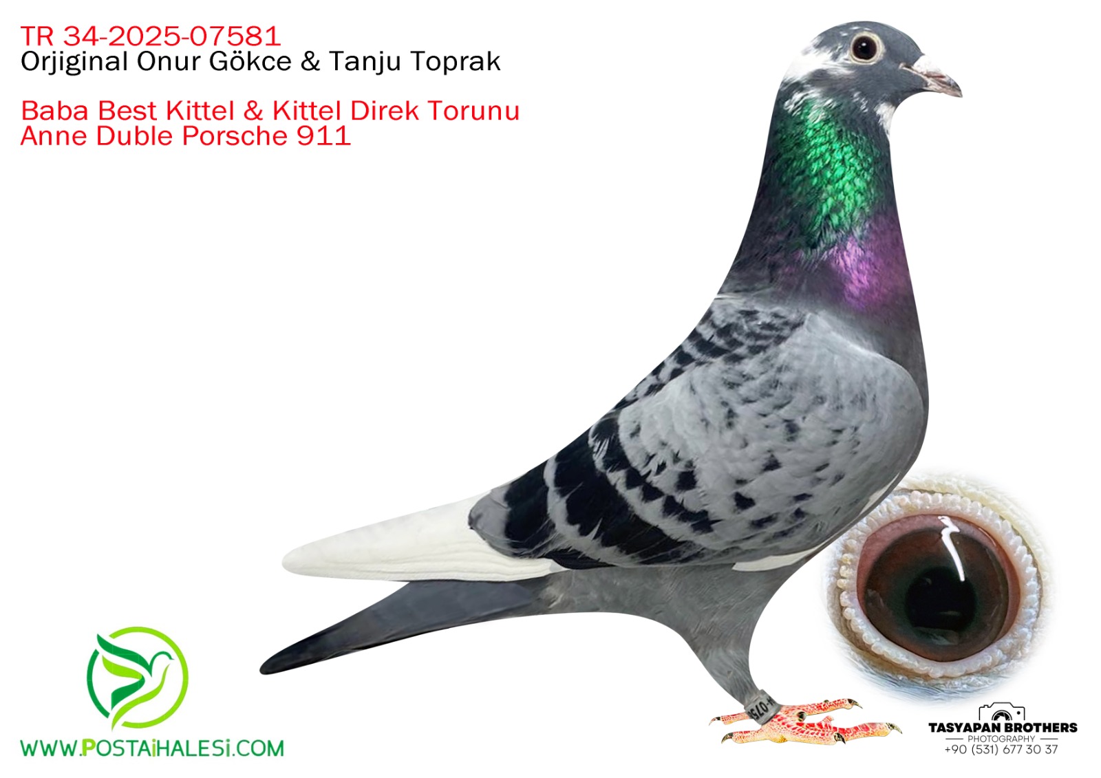 TR-34-26-07581 BEST KİTTEL DE KİTTEL& DUBLE PORŞHE 911 