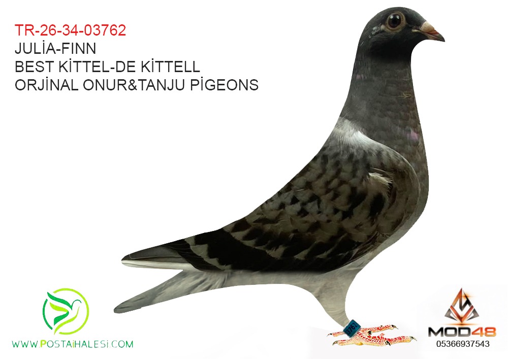 TR-26-34-03762 JULİA-FINN-BEST KİTTEL -DE KİTTEL